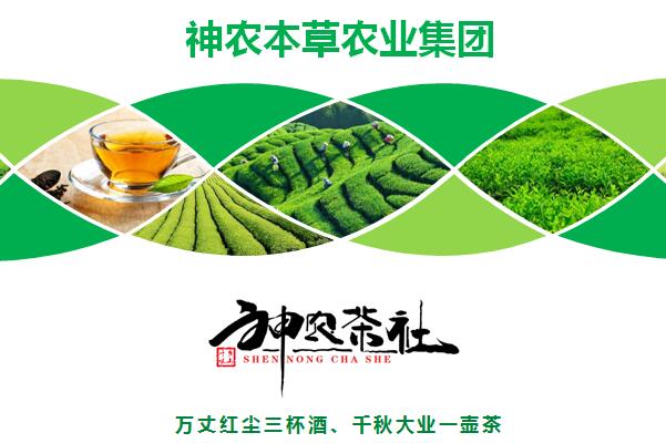 唐山加盟餐饮咨询