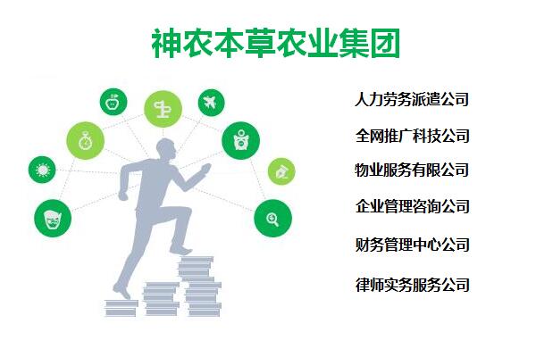 嘉兴加盟古玩代理