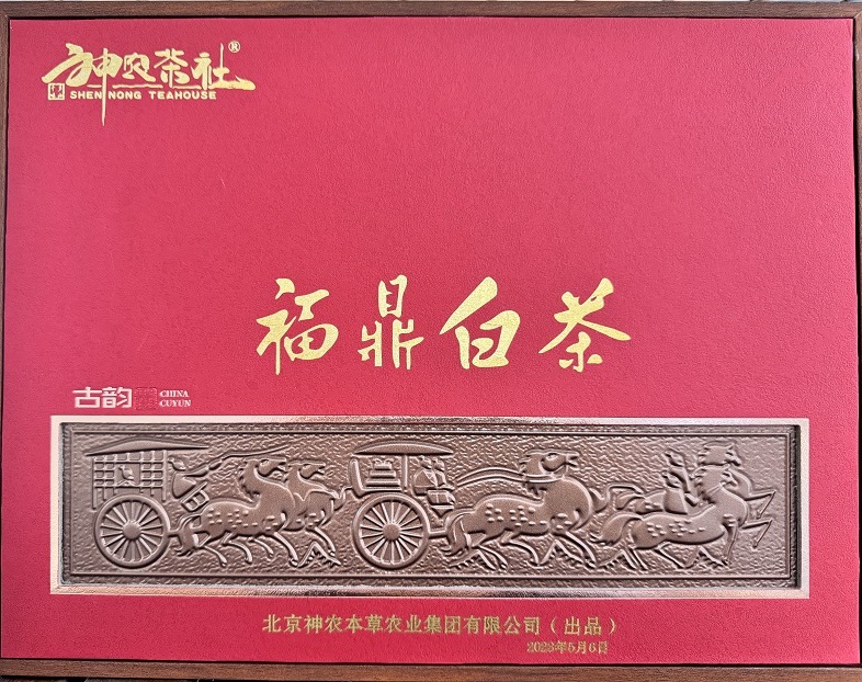 福鼎白茶